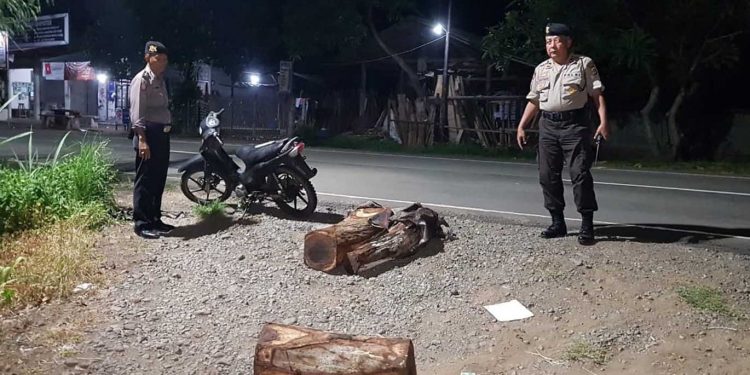 Kepergok polisi Pelaku Illegal Logging Kabur Tinggalkan Motor dan Kayu