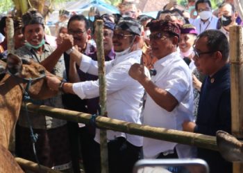 Sumberklampok Terima Bantuan Lintas Kementerian Mencapai 10 Miliar