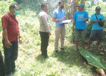 Terjatuh Dari Pohon, Warga Patemon Ditemukan Meninggal