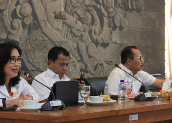 Pemkab Buleleng Mulai Susun Program RPJPD 2025-2045