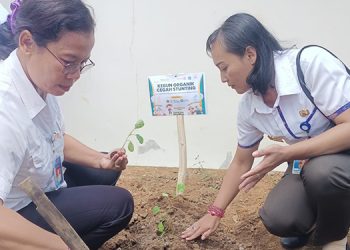 Aksi Rotary Buleleng Sakti, Kebun Organik Tingkatkan Gizi Anak dan Lestarikan Lingkungan