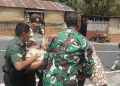 Tidak Sadarkan Diri Saat Rapat, Prajuru Adat Tamblingan Meninggal